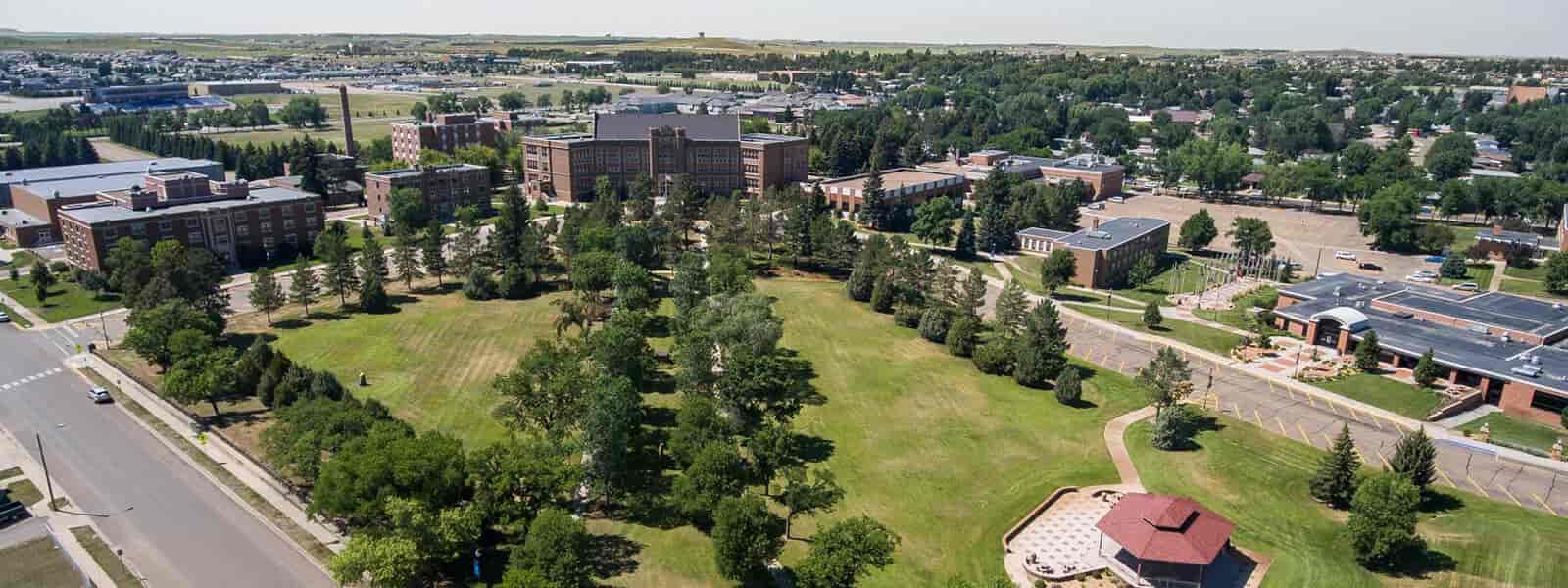 Dickinson State University