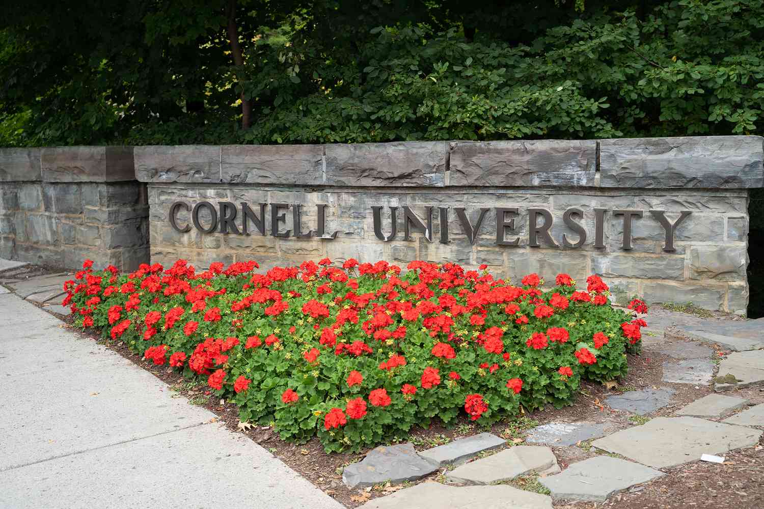 What Is Cornell University Known For? Ranking & Acceptance Rate
